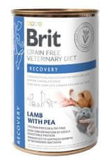 Brit VD Dog+Cat GF konz. Recovery 400g