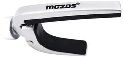 Mozos CAPO-SV