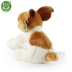 Rappa Plyšový pes jack russell teriér sedící 30 cm ECO-FRIENDLY