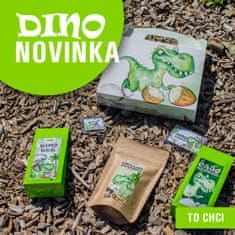 Lipoo DINO - DÁRKOVÝ BOX