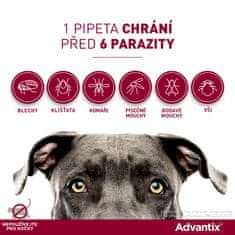 Bayer Advantix pro psy spot-on nad 25kg 1x4 ml