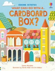Usborne What Can I Do With a Cardboard Box?