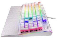 Endorfy herní klávesnice Omnis OWH Pudd.Kailh BR RGB /USB/ brown switch / drátová / mechanická / US layout / bílá RGB