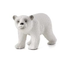 Mojo Medvěd lední mládě stojící
