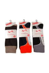 Gemini Pánské ponožky Thermo-silver směs barev MIXED SIZE