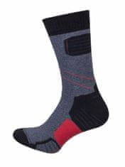 Gemini Pánské ponožky Thermo-silver směs barev MIXED SIZE