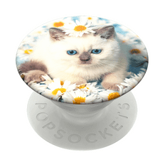 PopSockets PopTop Gen.2, Purr-fect Flower, koťátko v kopretinách, výměnný vršek