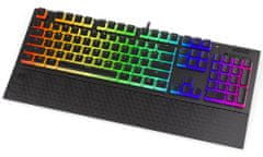 Endorfy herní klávesnice Omnis Pudd.Kailh BL RGB /USB/ blue switch / drátová / mechanická / US layout / černá RGB