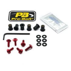 PRO BOLT SCR KIT SCREEN 6 RD SK6R