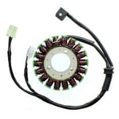 Electrosport Stator ELECTROSPORT - Triumph 675 ESG968