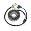 Stator ELECTROSPORT - Yamaha YFM 660R Raptor ESG950