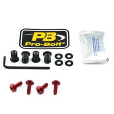 PRO BOLT SCR KIT SCREEN 4 RD SK4R