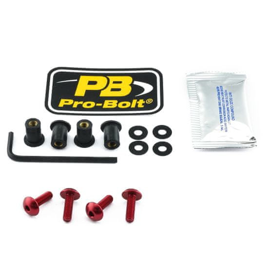 PRO BOLT SCR KIT SCREEN 4 RD SK4R