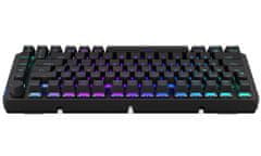 Endorfy herní klávesnice Thock 75% Wireless Red / RGB / red sw. / bezdrátová / mechanická / US layout / zkrácená /černá