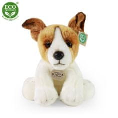 Rappa Plyšový pes jack russell teriér sedící 30 cm ECO-FRIENDLY