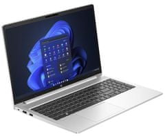 HP ProBook 455 G10 (817Z8EA)