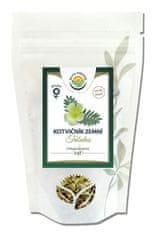 Salvia Paradise Kotvičník zemní nať 100g SALVIA PARADISE