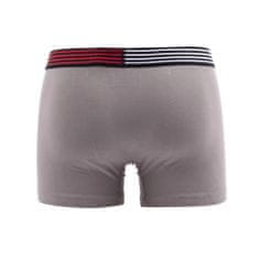 Tommy Hilfiger Flex Trunk Velikost: M UM0UM02411-PTM