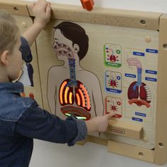 Masterkidz Masterkidz Vzdělávací Tabule Montessori Dýchací Systém