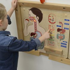 Masterkidz Masterkidz Vzdělávací Tabule Trávicí Systém Montessori