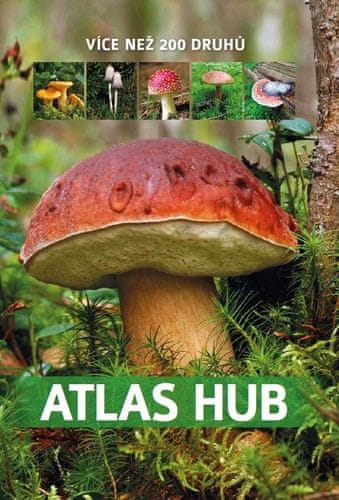 Patrycja Zarawska: Atlas hub