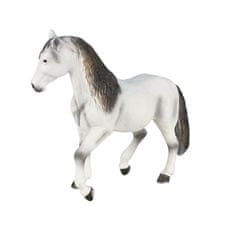 Mojo Andaluský kůň šedý