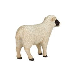 Mojo Hampshire ovce