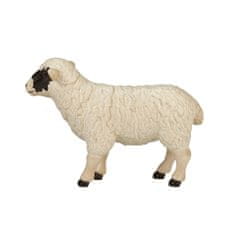 Mojo Hampshire ovce