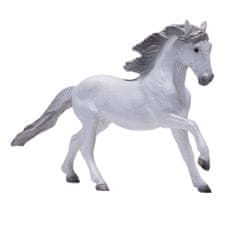 Mojo Lusitánský kůň bílý