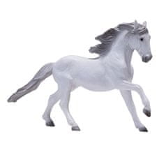 Mojo Lusitánský kůň bílý