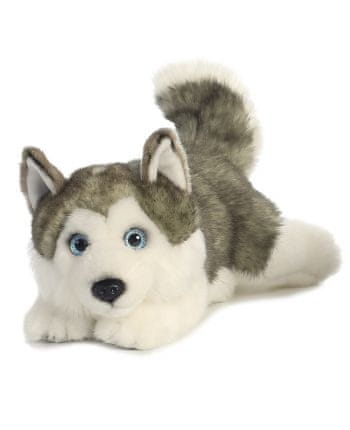 Aurora Plyšový Husky ležící - Miyoni - 28 cm