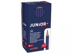 Alpino Velké balení tužek grafit Junior Tri 144 ks