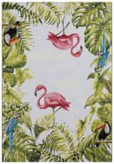 Hanse Home Kusový koberec Flair 105616 Tropical Birds Multicolored – na ven i na doma 80x165
