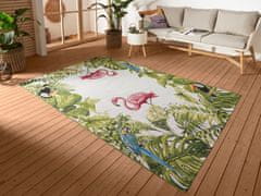 Hanse Home Kusový koberec Flair 105616 Tropical Birds Multicolored – na ven i na doma 80x165