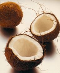 Allegria kokosový sen - thajská kokosová masáž Hluboká nad Vltavou