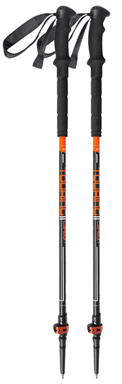 Birki Trekové hole Touring II Carbon