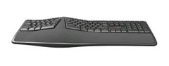 C-Tech klávesnice KB-113E USB, ERGO, černá, CZ/SK