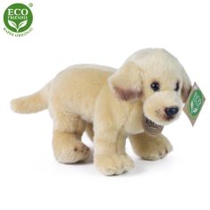 Rappa Plyšový labrador stojící 20 cm ECO-FRIENDLY