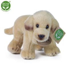 Rappa Plyšový labrador stojící 20 cm ECO-FRIENDLY