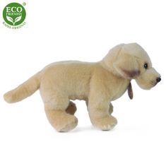 Rappa Plyšový labrador stojící 20 cm ECO-FRIENDLY