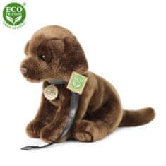 Rappa Plyšový pes labrador 25 cm ECO-FRIENDLY