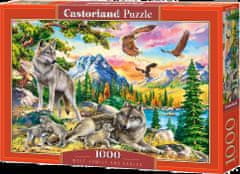 Castorland Puzzle Vlčí rodinka 1000 dílků