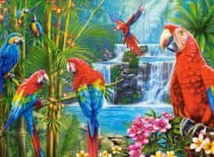 Castorland Puzzle Setkání papoušků 2000 dílků