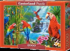 Castorland Puzzle Setkání papoušků 2000 dílků