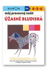 Toshihiki Karakido: Môj pracovný zošit Úžasné bludiská