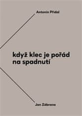 Antonín Přidal;Jan Zábrana;Jiří Opelík: Když klec je pořád na spadnutí - Vzájemná korespondence Antonína Přidala a Jana Zábrany z let 1963-1984