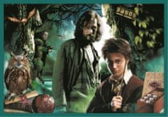 Trefl Puzzle 10v1 Ve světě Harryho Pottera