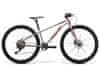 27,5 youngster 1.10 alu brushed transparent/red 2024 XS/13"