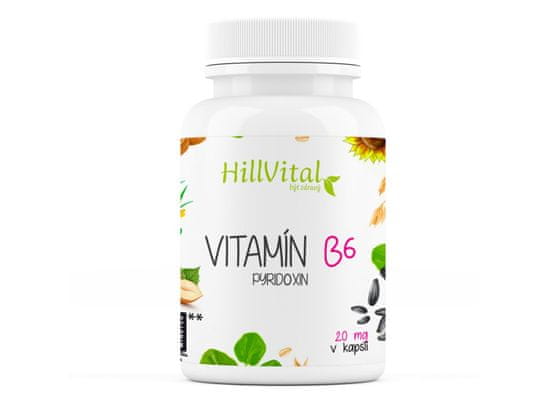 Hillvital Vitamín B6, 100 kapslí