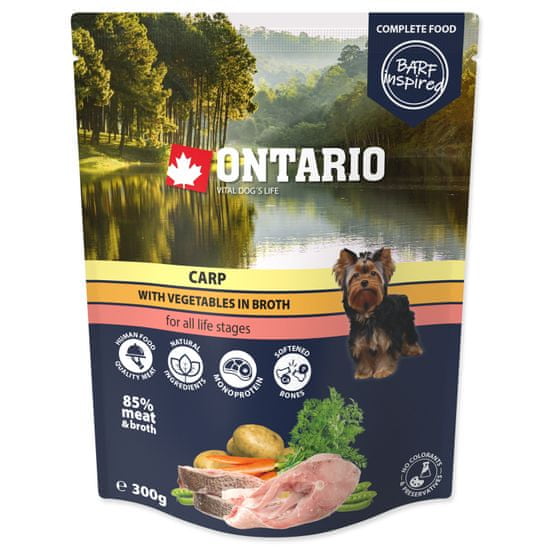 Ontario Kapsička kapr se zeleninou ve vývaru 300 g